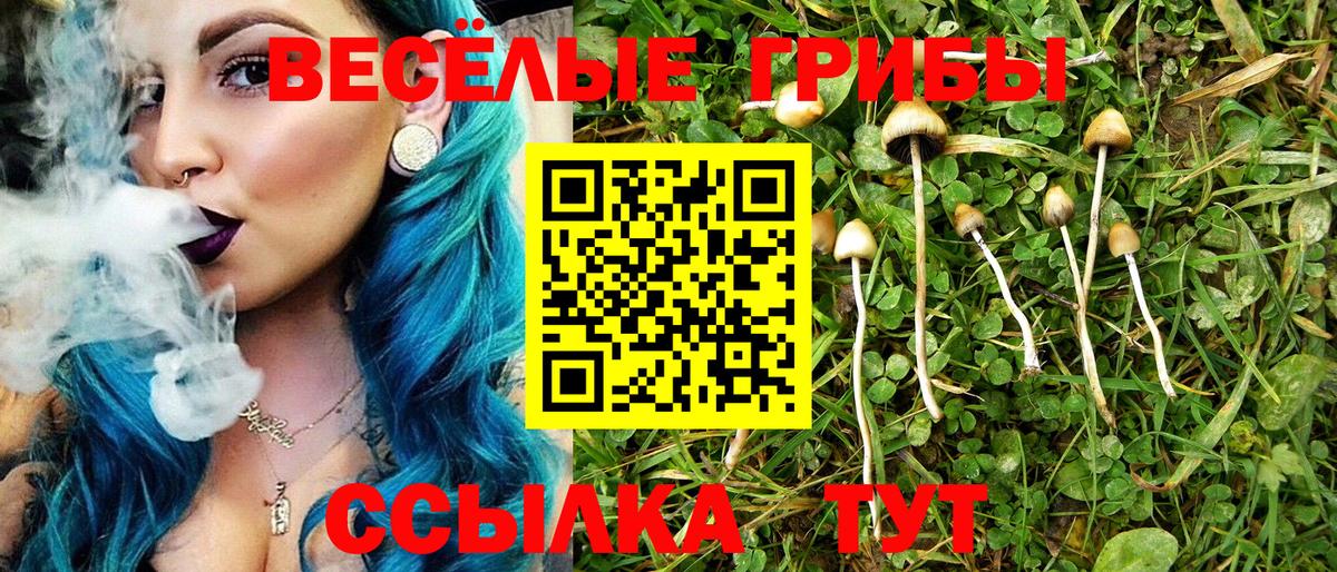 Галлюциногенные грибы Magic Shrooms Тихорецк